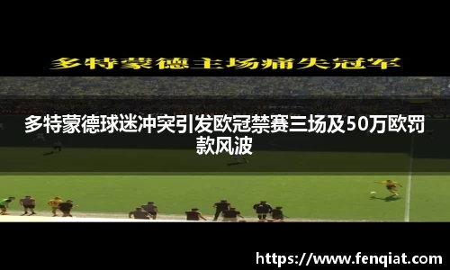 多特蒙德球迷冲突引发欧冠禁赛三场及50万欧罚款风波