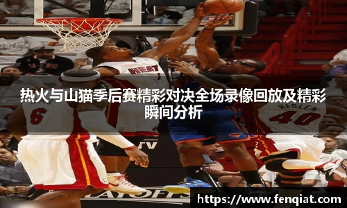 热火与山猫季后赛精彩对决全场录像回放及精彩瞬间分析