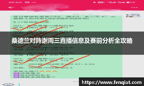 桑德兰对阵谢周三直播信息及赛前分析全攻略